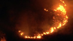 Bodrum'da otluk ve makilik alanda yangın çıktı