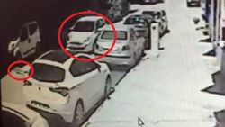 Eskişehir'de kediyi ezen sürücü hakkında 'kasıtlı değil' kararı çıktı