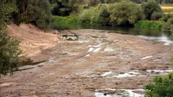 Edirne'de kuraklık: Tunca Nehri dip seviyede