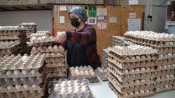 Yumurta çiftlikten pazara kadar en az iki el değiştiriyor	 