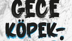 Levent Karakoç'un ilk romanı: Gece Köpekleri