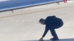 Duyarlı pilot, pistte gördüğü kaplumbağanın hayatını kurtardı