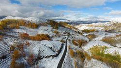 Erzurum ormanlarında görsel şölen
