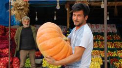 Amasyalı çiftçi, yetiştirdiği 30 kiloluk bal kabağına paha biçemiyor