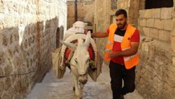 Mardin'de eşekler, restorasyon çalışmalarında da mesaide