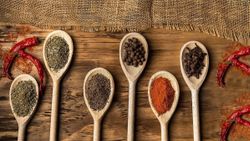 Umami nedir