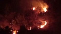 Hatay’da orman yangını