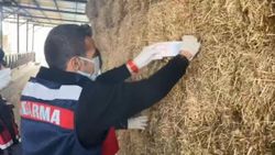 Bursa'da çalınan para ve çekler, saman balyasından çıktı
