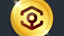 ANKR coin nedir, nasıl alınır? ANKR coin hakkında merak edilenler...