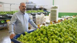 Batı Akdeniz ihracatı ilk kez 2 milyar doları aştı