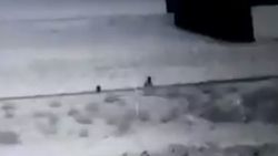 Sızma girişiminde bulunan teröristlerin etkisiz hale getirildiği anlar