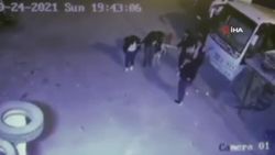 Ankara'da bir grup genç kaçtıkları köpeği halaya aldı