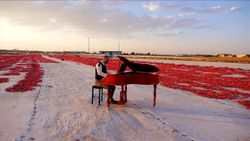 Diyarbakır'da müzik öğretmenleri, domates tarlasında işçilerle klip çekti