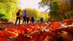Osmaniye’nin gözde bölgesi Dumanlı Yayla