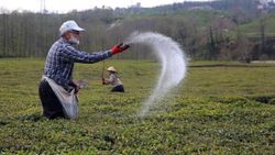 Bakan Pakdemirli'den çiftçilere müjde! Tarımsal destek ödemelerine zam geliyor