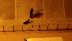 Esenyurt'ta köpeği döven Ürdünlüye ceza