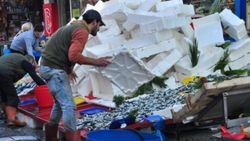 Edirne'de kilosu 5 liraya düşen hamsi, dakikalar içinde satıldı