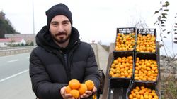 Rize Derepazarı mandalinası tezgaha indi