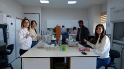 Kenevirle ilgili yeni tohum üretme çalışmaları devam ediyor