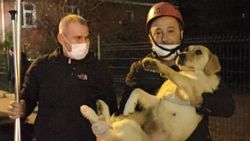 Bolu'da eve günlerce tek bırakılan köpeğin yardımına itfaiye ekipleri yetişti
