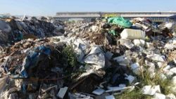 Kocaeli'de sanayi bölgesindeki çöpler, aylardır toplanmıyor
