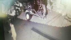 Eskişehir'de küçükbaş hayvan çalan hırsızlar 5'ini telef etti