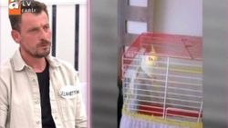 Esra Erol'da programında 'papağanımı geri ver' kavgası