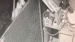 Başakşehir'de köpeğe ateş ettiği kameraya yansıyan şüpheli yakalandı