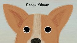 Çocuklara köpek Maya’nın hikayesi