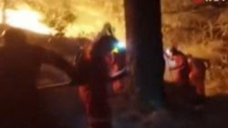 Meksika'da uyuşturucu bağımlısı ormanlık alanı ateşe verdi
