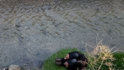 Kırıkkale'de dereye düşen alkollü kişiyi itfaiye kurtardı