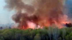 Ermenistan'da domuzları kaçırmak isteyen kişiler ormanı yaktı