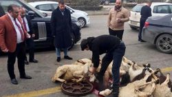  20 yıla kadar ceza isteniyor