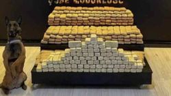 Hakkari'de bir araçta 241 kilo eroin ele geçirdi