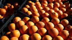 Rusya, Türkiye’ye yönelik bazı kısıtlamaları kaldırdı