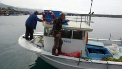 Trabzon'da deniz, kıyı balıkçılarına kaldı