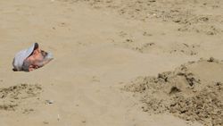 Mersin’de sıcağı gören denize koştu 