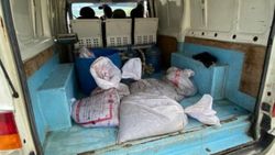 İzmir'de yapılan operasyonda 620 kilo deniz patlıcanı ele geçirildi