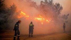 Atina'da orman yangını 