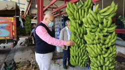 Alanya muzu coğrafi işaretle tescillendi