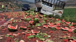 Gaziantep'te lastiği patlayan kamyonetteki 3 ton karpuz yola döküldü