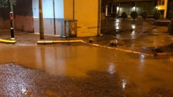 Giresun'da şiddetli yağış sonrası sel ve heyelan