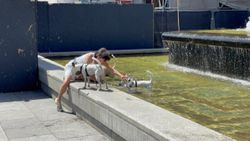 Çin’de aşırı sıcaklara karşı kırmızı alarm