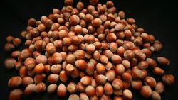 TMO, 22 Ağustos'ta 11 noktada fındık alımını başlatacak