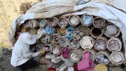 Terörün bittiği Siirt'in yaylalarında köylüler bal üretiyor