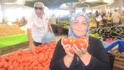 Bilecik'te salçalık domates ve biber sezonu başladı