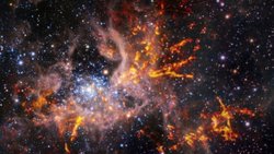 James Webb views the Tarantula Nebula