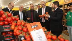 Erzurum iddialı: Türkiye’nin en ucuz salkım domatesi Aziziye’de