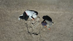 Kahramanmaraş'ta 7 bin 600 yıllık kadın iskeleti bulundu