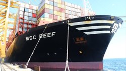 Dev konteyner gemisi 'MSC Reef' Tekirdağ'da demirledi